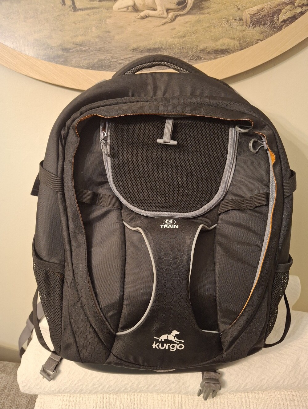 ✨ LIKE NEW ✨ Kurgo G-Train Dog Carrier Backpack (Black/Orange)